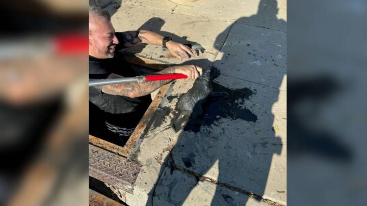 California Officers Find A Small Creature In Distress In A Dirty Drain And Take Action