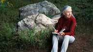 Celebrated Conservationist and Chimpanzee Expert Jane Goodall Is Dead at 91