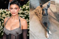 Kylie Jenner's Beloved Italian Greyhound Norman Dies at Age 11