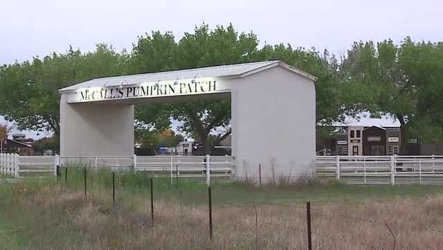 Torrance County officials address rumors linking McCall's Pumpkin Patch to ICE