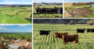 NSW rural property market: all the latest sales and listings