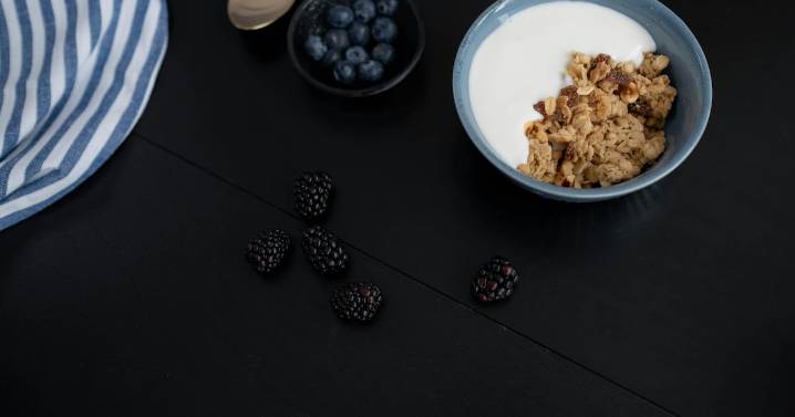 Scientists used ants to make yogurt