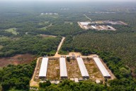 Megaproyectos ponen en «fuego cruzado» a la Selva Maya; piden frenar devastación