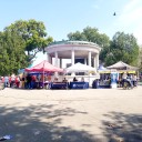 Kingsbridge Heights: Second Annual Public Health & Safety Fair Held in Poe Park
