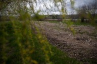 ​Maine offers free medical tests for residents exposed to PFAS​Maine offers free medical tests for PFAS