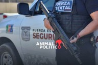 FGR investiga a policías de Baja California por presunto robo de droga a grupo criminal; cesan a 14