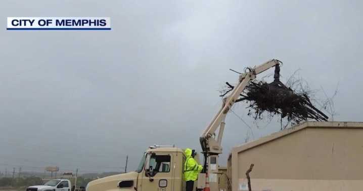 New initiative aims to clean up, beautify Memphis — one major thoroughfare at a time