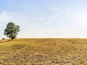 10/31/25: Clear Sky and 58.6°F in Dickson County
