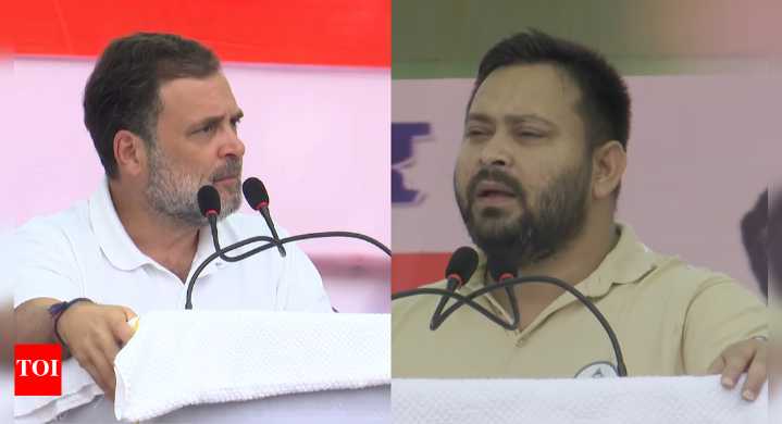 Bihar Assembly Election 2025 Live Updates: Rahul says Nitish 'remote controlled' by BJP; holds joint rally with Tejashwi