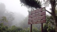 Joven falleció en el parque Nacional Henri Pittier