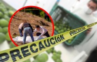 Ejecutan ahora a productor de naranja en Veracruz