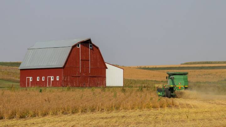 Farmers caught in Trump's trade war wait for bailout. But many call it a temporary fix