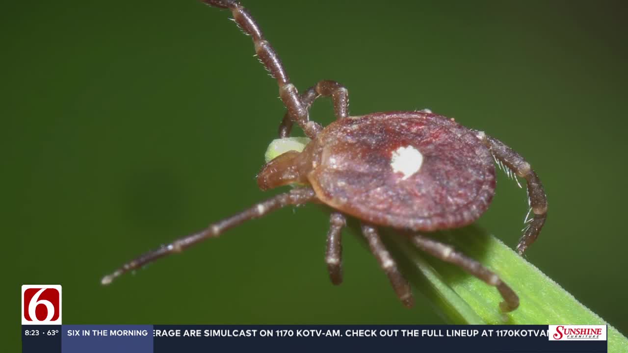 How can I prevent tick bites?