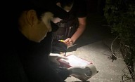 Bebiendo y a los disparos, Policía secuestro un arma de fuego en barrio Constitución