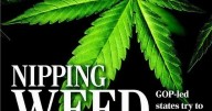 NIPPING WEED IN THE BUD