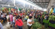 INEI: Precios al Consumidor de Lima Metropolitana reportaron una ligera alza de 0,01% en septiembre de 2025 l INEI l Últimas