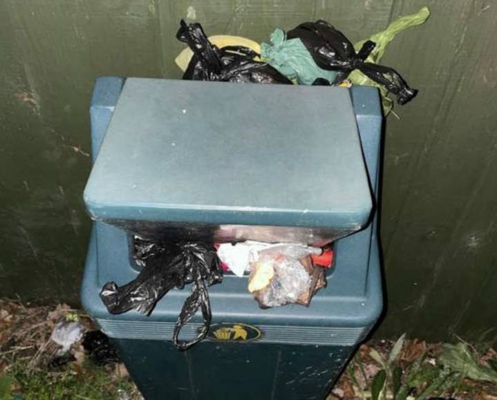 'Dog poo bags piled up' in Warwick district - councillors 'dismayed' | Local News
