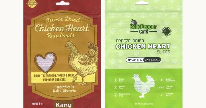 Two Pet Food Brands Recall Products After Salmonella Concerns
