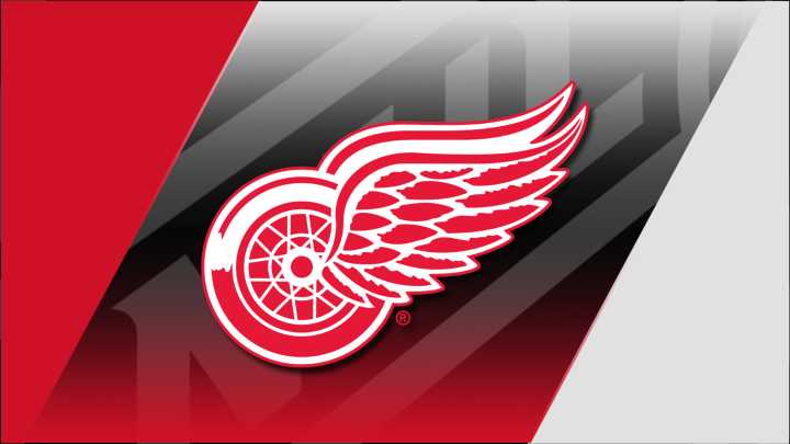 Detroit Red Wings seek playoff return in historic 100th season