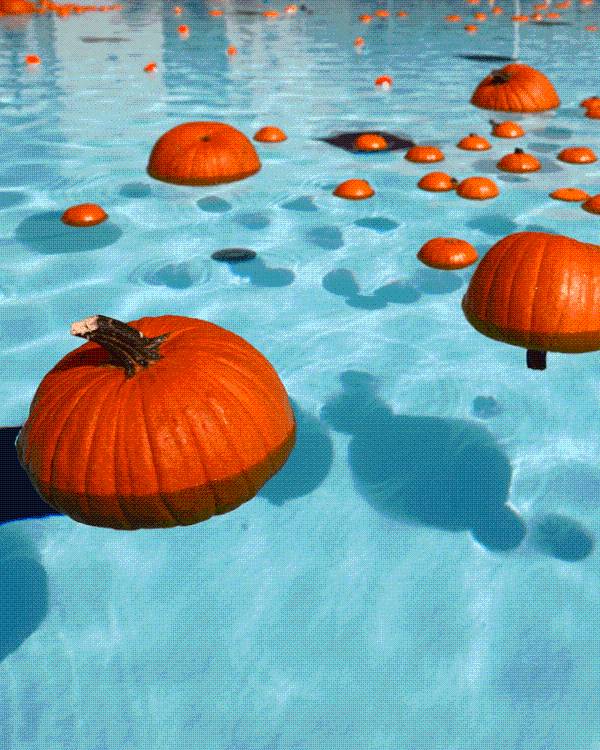 West Hollywood to Host Adorable Floating Pumpkin Patch Halloween Event on October 26