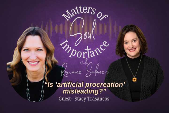 Salonen: Is ‘artificial procreation’ misleading?