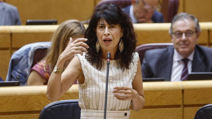 Redondo comparece en el Senado para dar cuenta de su gestión de la crisis de las pulseras