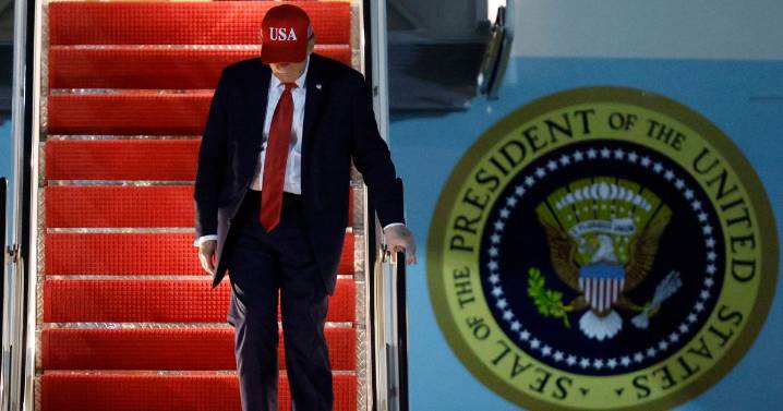 Trump assassination fears as hunting stand 'with line of sight to Air Force One exit' found