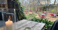 The beautiful hidden garden that's very calming despite being next to busy station