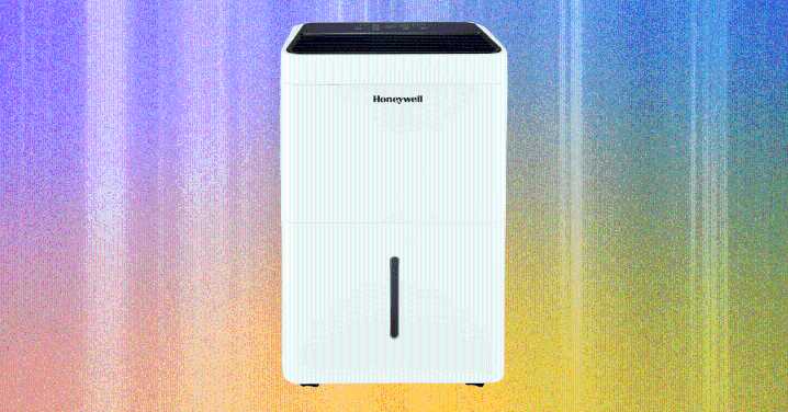 The Best Dehumidifiers to Keep Your Home Cool and Dry