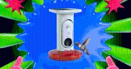 Now Is a Great Time to Feed Hummingbirds—This Is My Favorite Feeder to See Them Up Close