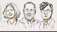 Medicine Nobel 2025 awarded to trio for peripheral immune tolerance discovery