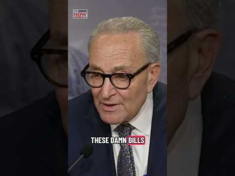 Schumer: Americans will blame Republicans for shutdown