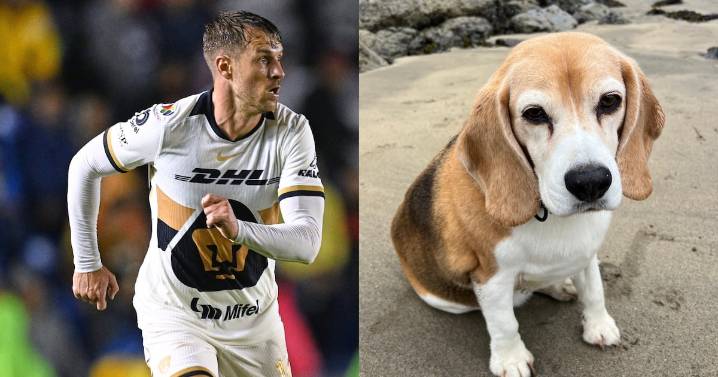 Aaron Ramsey ofrece jugosa recompensa de más de 100 mil pesos por encontrar a su perro