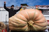 Cali. engineer wins pumpkin contest with 2,346