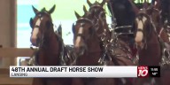 48th Annual Draft Horse Show
