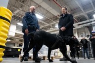 Canada’s fentanyl czar admits underestimating scale of opioid crisis