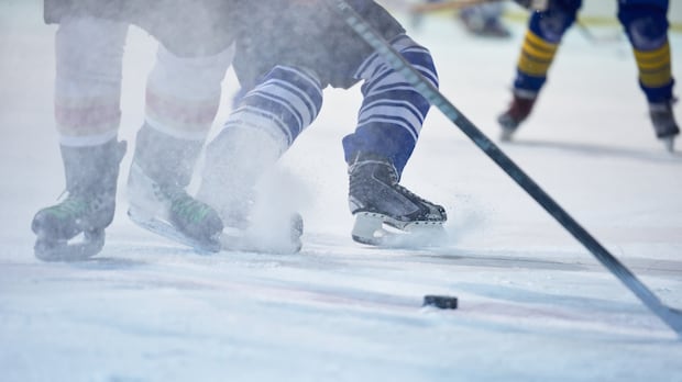 RCMP investigating 'possible financial irregularities' at Placentia Minor Hockey
