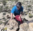 Nuevas huellas de dinosaurios en Allepuz, Cedrillas y Jorcas