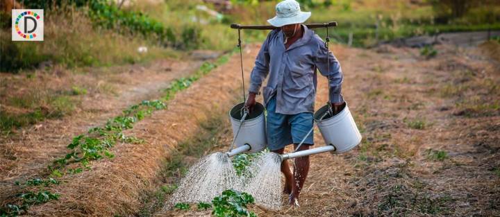 Tamil Nadu Chief Minister Urges Timely Fertiliser Supply Amid Surge in Demand