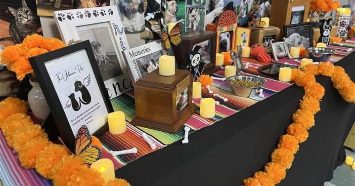 Kentucky pet ofrenda at goes viral on TikTok