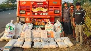 MP News: Police Recover 280 Kg Of Marijuana From Truck In Gwalior