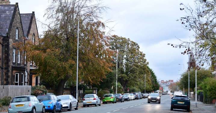 Man jumps in back of woman's car and is stabbed in broad daylight