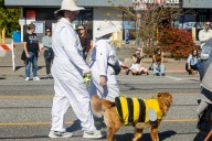 Photos From the 2025 Spooky Pooch Parade