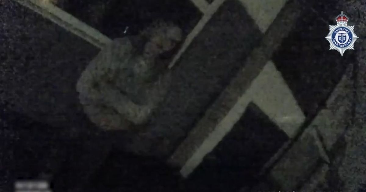 Violent girlfriend's three-word response as she's arrested for stabbing partner