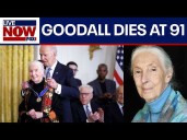 Jane Goodall, famed conservationist, dies at 91