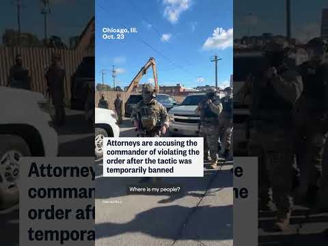 Border Patrol commander appears to throw tear gas at protestors