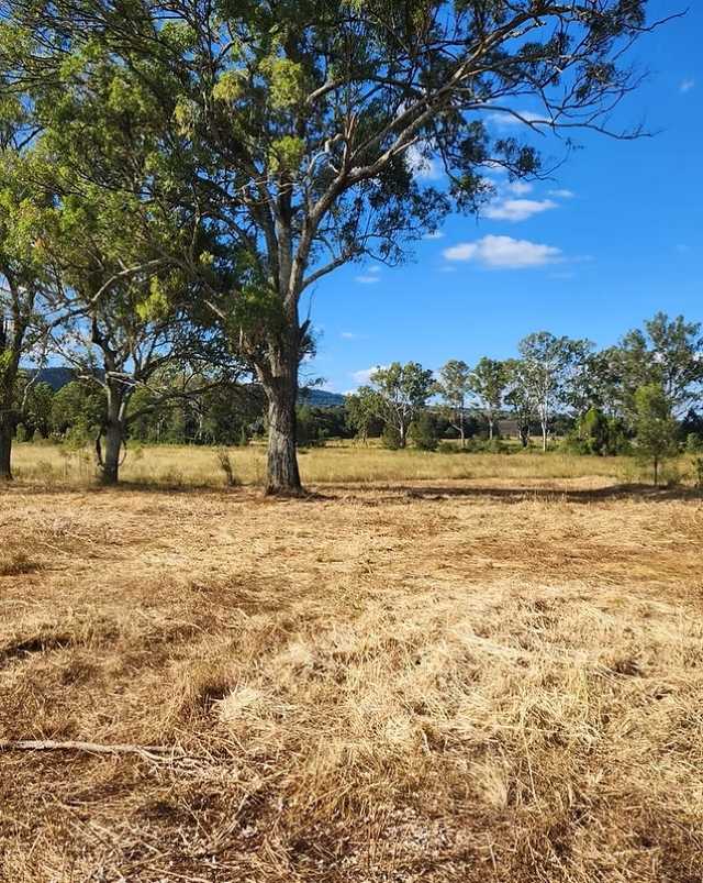 Sexfest gets a safe word - Ipswich West Moreton Today