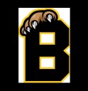 Brantford Bulldogs beat Sarnia Sting 3-1 | The West Elgin Chronicle