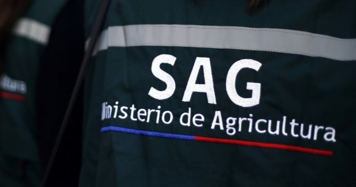 Funcionarios del SAG anuncian movilización nacional por acuerdos incumplidos: paralización afectaría exportaciones