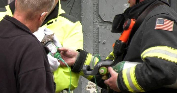 Ohio Street apartment building fire displaces residents, cat is saved
